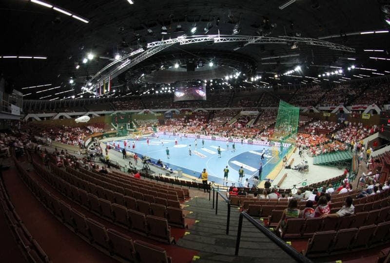Handball. World Championship Qualifiers. Poland - Lithuania. 17.06.2012