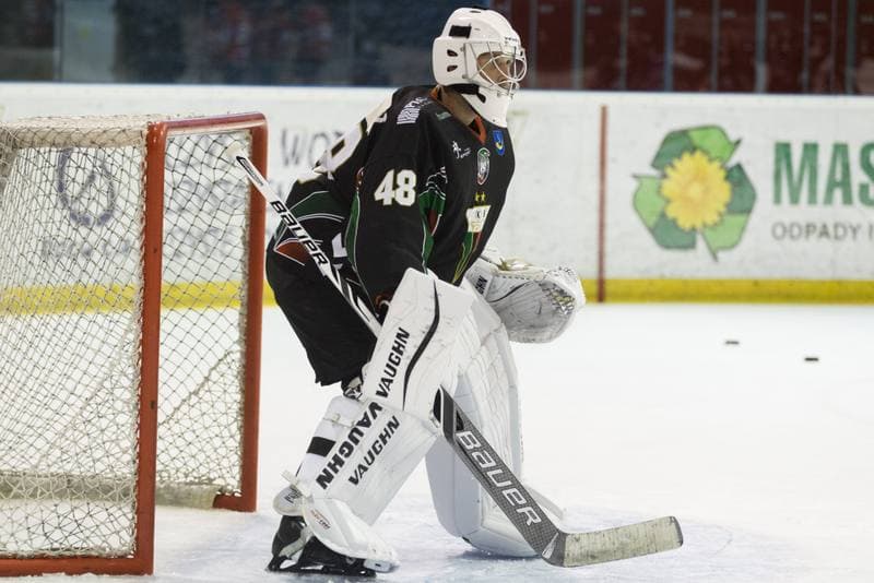 Ice Hockey. Sparing. GKS Tychy - Polonia Bytom. 08.08.2017