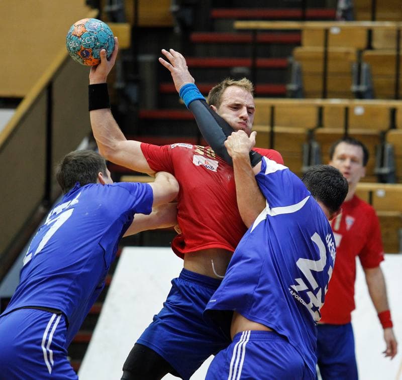 Handball. Sparing. Gornik Zabrze - Zaporoze. 08.08.2014