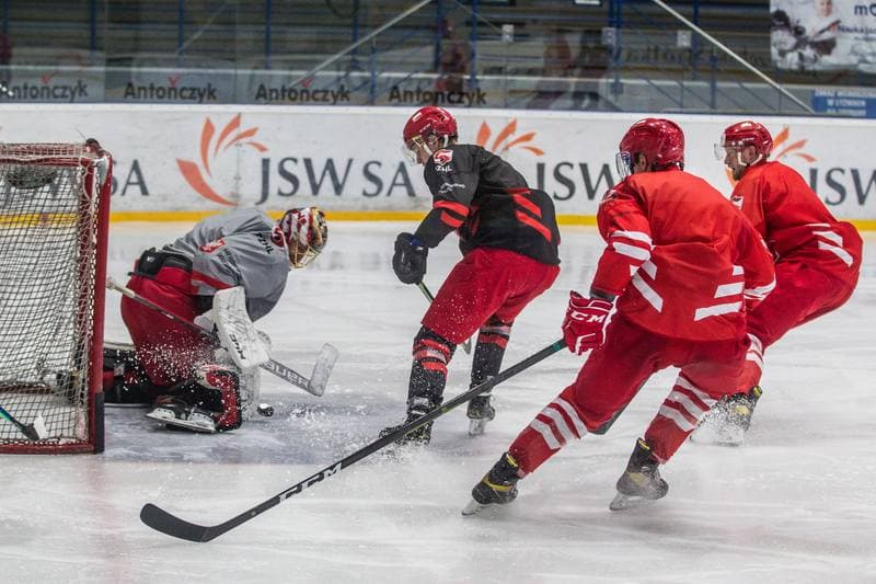 Ice Hockey. Poland national team. Training. 11.05.2021