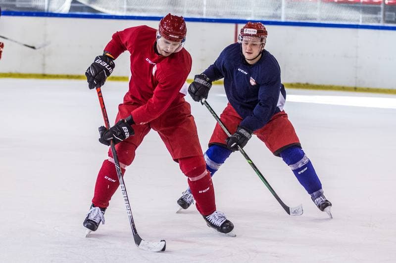 Ice Hockey. Poland national team. Training. 14.12.2020