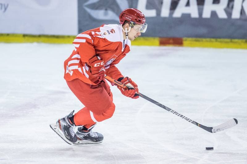 Ice Hockey. Friendly International Match. Poland - Hungary. 17.12.2020