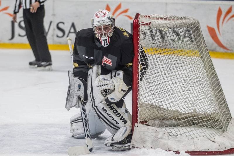 Ice Hockey. PHL. JKH GKS Jastrzebie - Comarch Cracovia. 07.11.2021