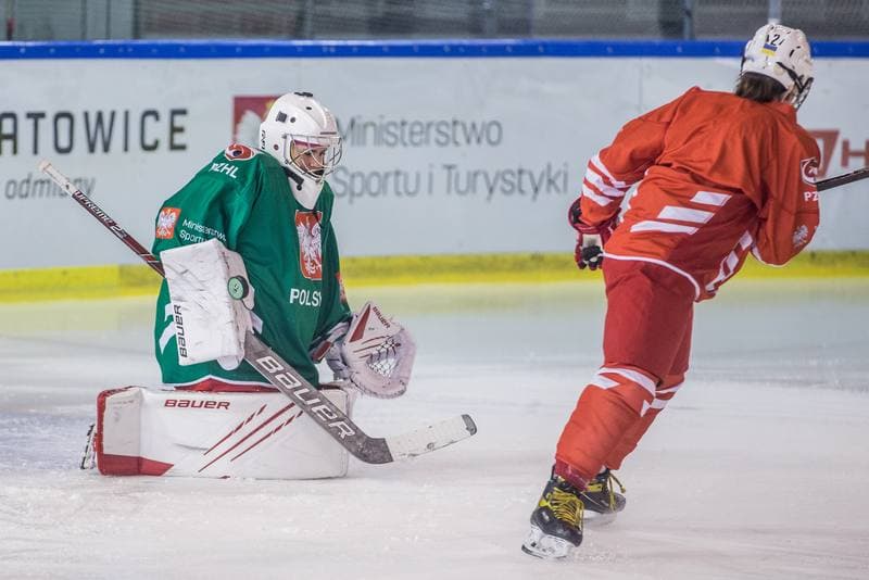 Ice Hockey. Poland national team. Training. 04.04.2022
