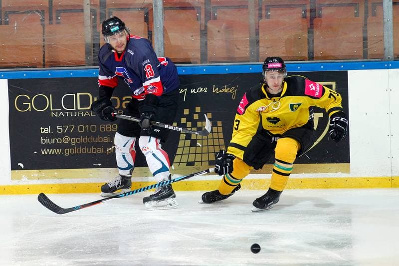 Ice Hockey. Polska Hokej Liga. Tauron KH GKS Katowice - Nesta Torun. 22.01.2017