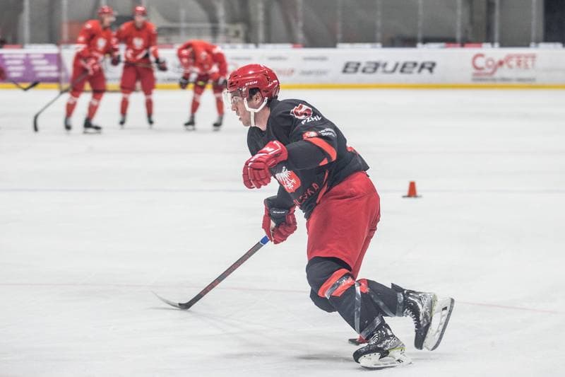 Ice Hockey. Poland national team. Training. 18.04.2022