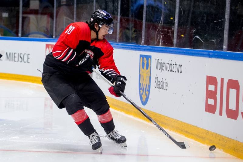 Ice Hockey. World Championship Division 1 Group B. Japan - Ukraine. 30.04.2022