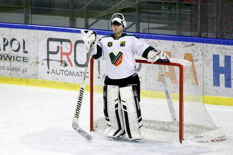 Ice Hockey. Polska Hokej Liga. Anteo Naprzod Janow - Polonia Bytom. 30.01.2018
