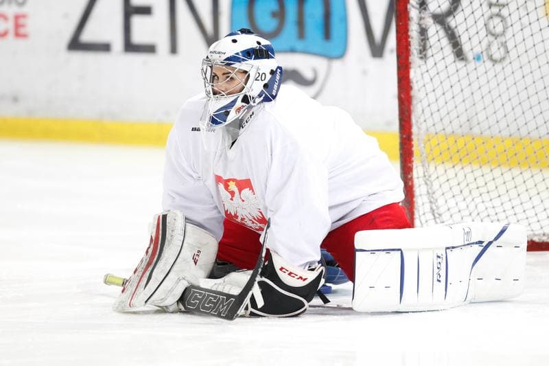Ice Hockey. Poland national team. Training. 15.02.2018