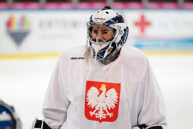 Ice Hockey. Poland national team. Training. 15.02.2018