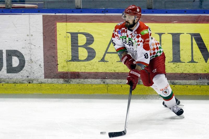 Ice Hockey. Polska Hokej Liga. Zaglebie Sosnowiec - Unia Oswiecim. 01.02.2019