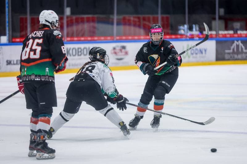 Ice Hockey. Tauron Liga. Atomowki GKS Tychy - Kojotki Naprzod Janow. 29.10.2023