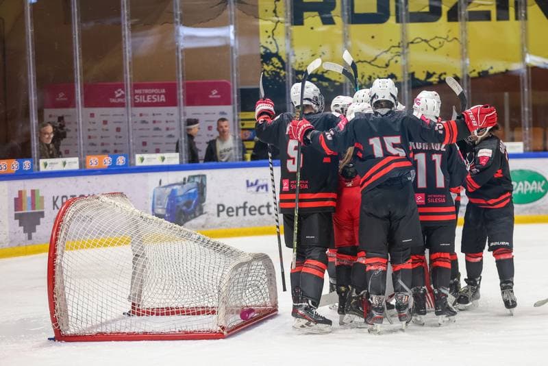 Ice Hockey. EWHL. Tauron Metropolia Silesia - Aisulu Almaty. 26.11.2023