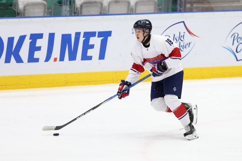 Ice Hockey. Olympic Qualification. Korea - Poland. 11.02.2024