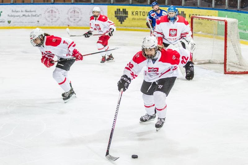 Ice Hockey. EWHL. Silesia Breckens - Hvidovre IK Selects. 01.12.2019