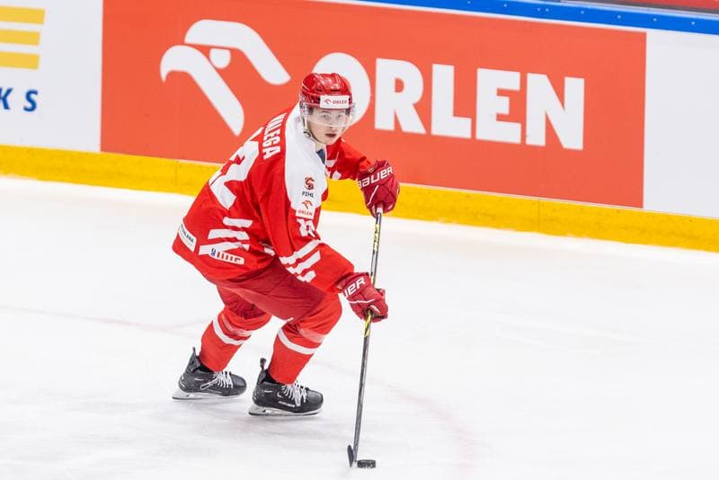 Ice Hockey. Friendly Match. Poland - Hungary. 20.04.2023