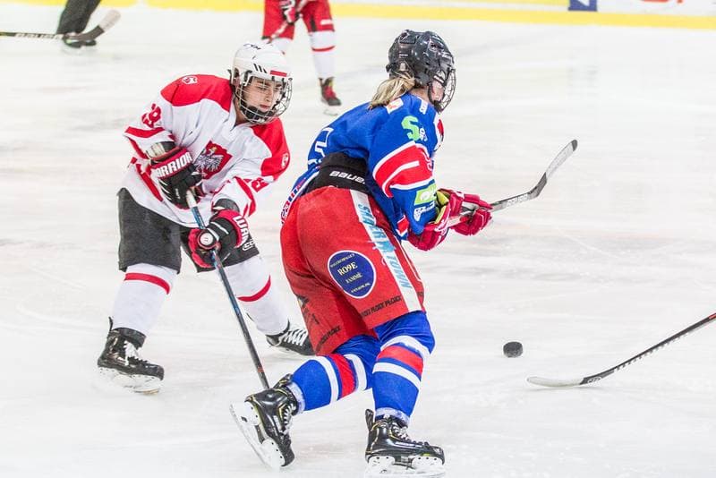 Ice Hockey. EWHL. Silesia Breckens - Hvidovre IK Selects. 30.11.2019