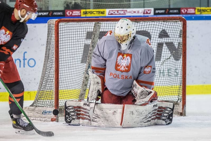 Ice Hockey. Poland national team. Training. 15.04.2021