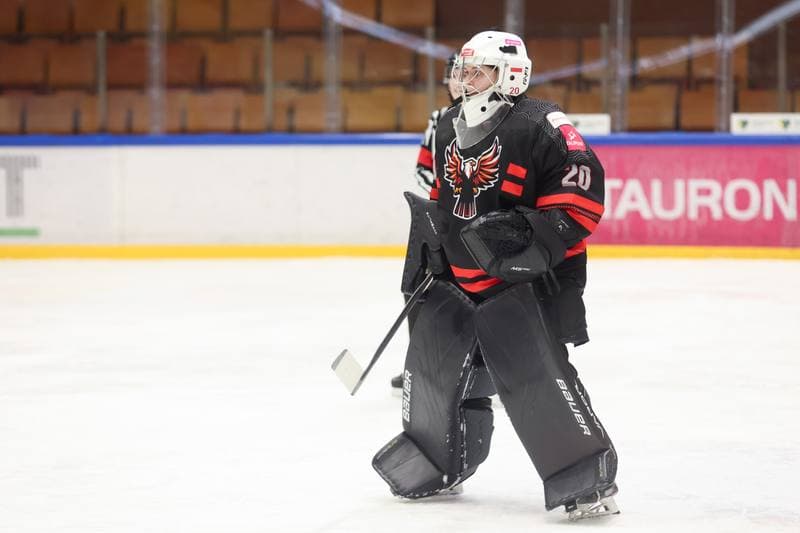 Ice Hockey. EWHL. Tauron Metropolia Silesia - KEHV Lakers. 04.02.2024