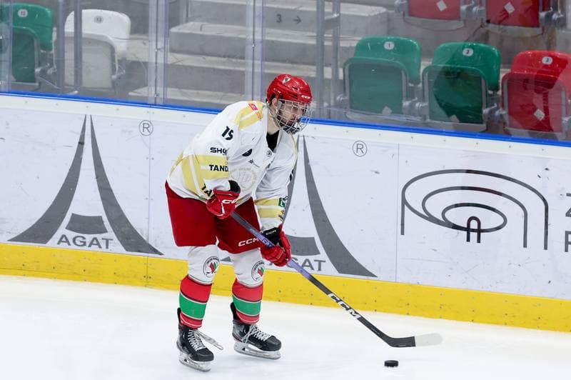 Ice Hockey. Tauron Hokej Liga. Zaglebie Sosnowiec - PZU Podhale Nowy Targ. 14.02.2024