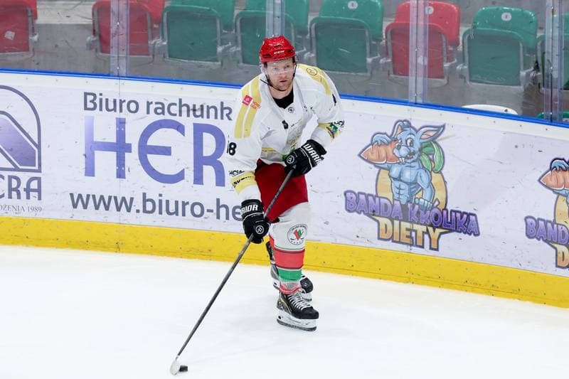 Ice Hockey. Tauron Hokej Liga. Zaglebie Sosnowiec - PZU Podhale Nowy Targ. 14.02.2024