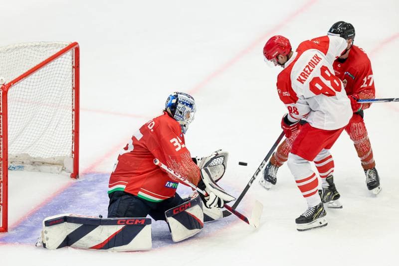 Ice Hockey. Friendly Match. Poland - Hungary. 12.04.2024