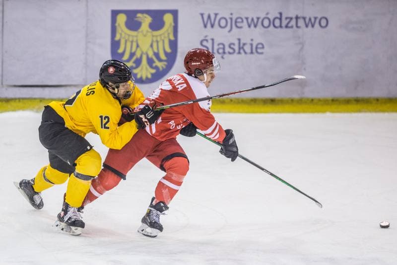 Ice Hockey. Three Seas Tournament. Poland - Lithuania. 19.04.2021