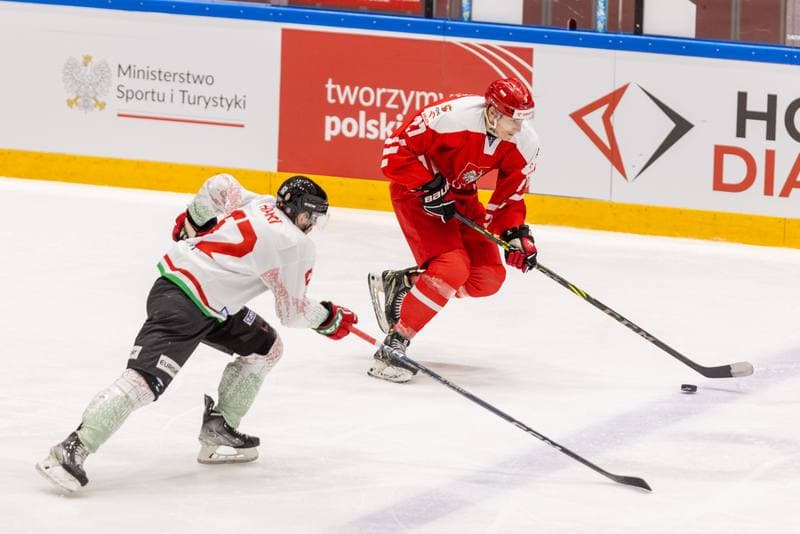 Ice Hockey. Friendly Match. Poland - Hungary. 20.04.2023