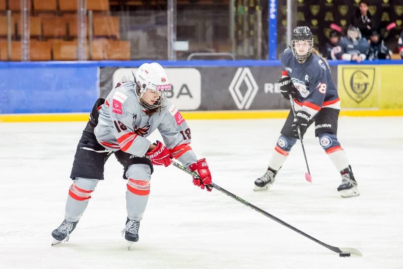Ice Hockey. EWHL. Tauron Metropolia Silesia - Budapest Jegkorong Akademia. 22.10.2023