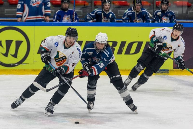 Ice Hockey. MHL. KS Katowice - Naprzod Janow - Sokoly Torun. 06.11.2022