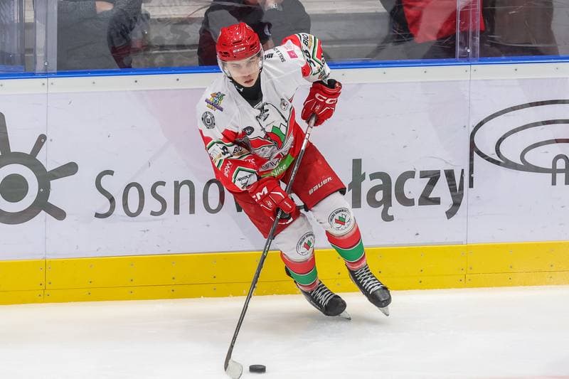 Ice Hockey. Tauron Hokej Liga. Zaglebie Sosnowiec - Comarch Cracovia. 19.11.2023