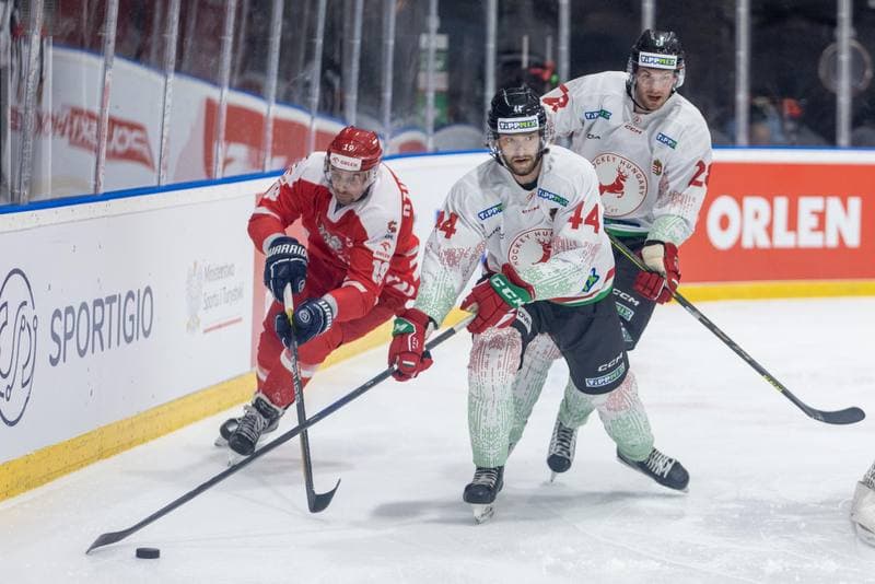 Ice Hockey. Friendly Match. Poland - Hungary. 21.04.2023