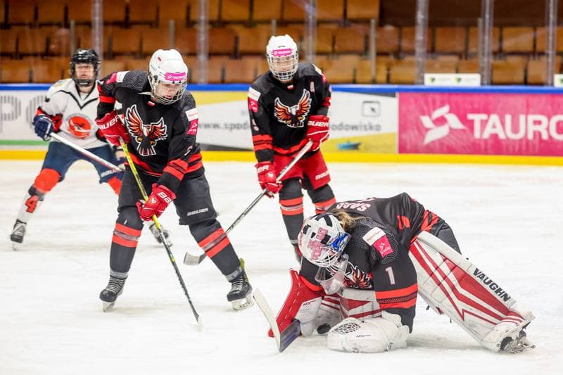 Ice Hockey. EWHL. Tauron Metropolia Silesia - Aisulu Almaty. 26.11.2023