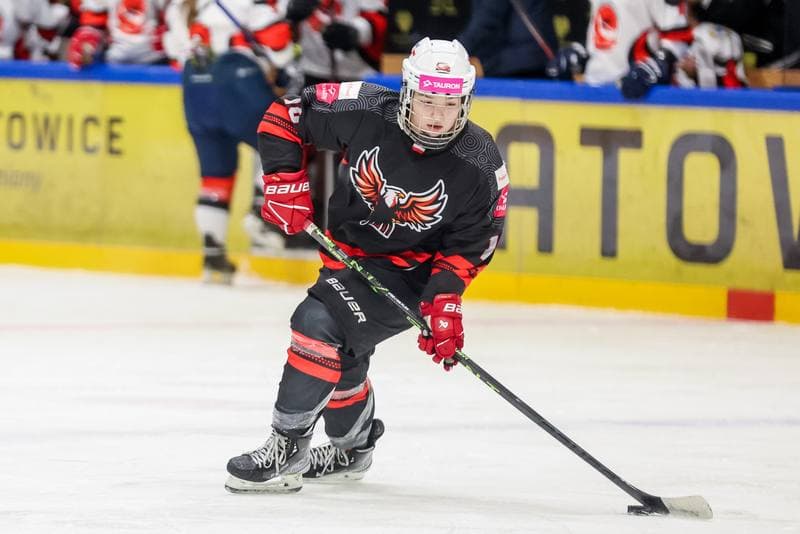 Ice Hockey. EWHL. Tauron Metropolia Silesia - Aisulu Almaty. 26.11.2023