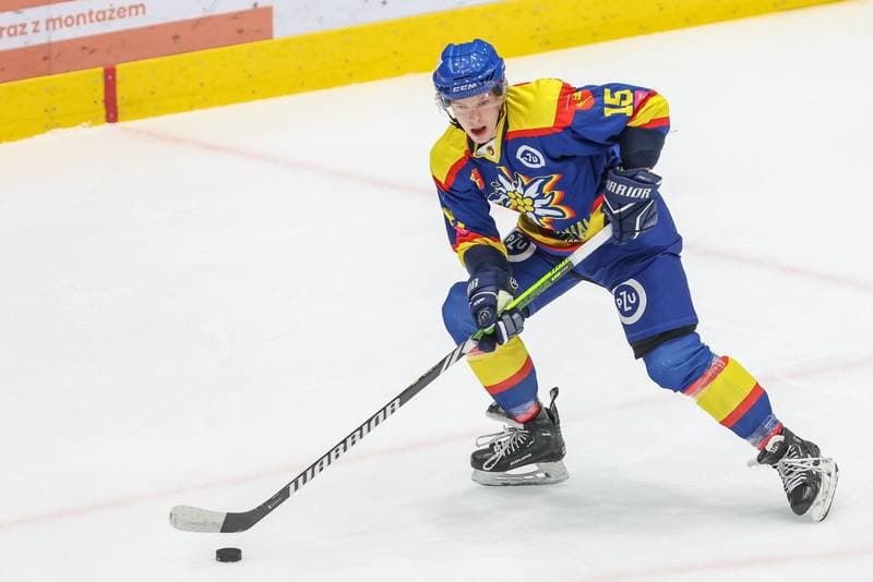 Ice Hockey. Tauron Hokej Liga. Zaglebie Sosnowiec - PZU Podhale Nowy Targ. 03.12.2023