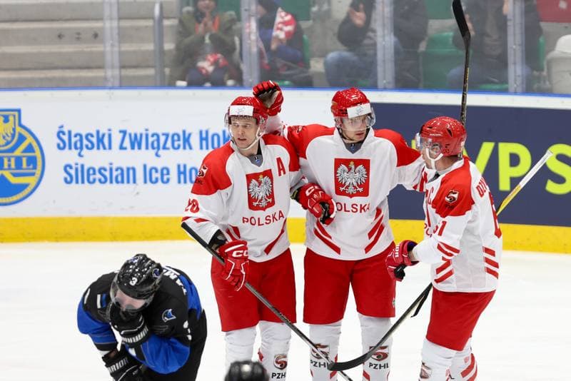 Ice Hockey. Olympic Qualification. Poland - Estonia. 08.02.2024