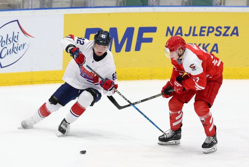 Ice Hockey. Olympic Qualification. Korea - Poland. 11.02.2024