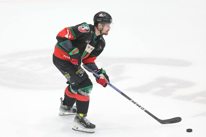Ice Hockey. Tauron Hokej Liga. Zaglebie Sosnowiec - GKS Tychy. 27.02.2024