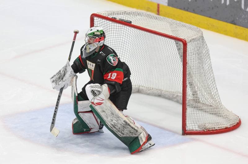 Ice Hockey. Tauron Hokej Liga. Zaglebie Sosnowiec - GKS Tychy. 27.02.2024