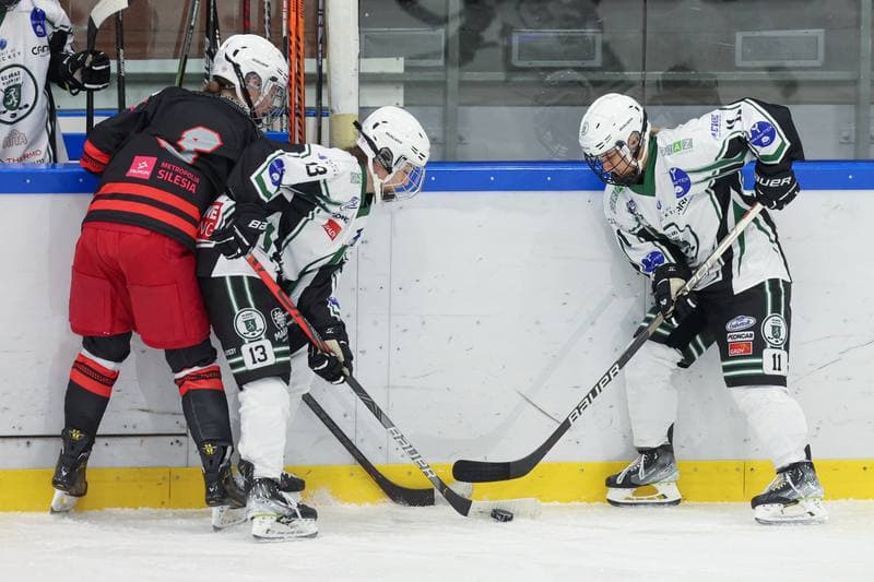 Ice Hockey. EWHL. Tauron Metropolia Silesia - EC Graz Huskies. 02.03.2024