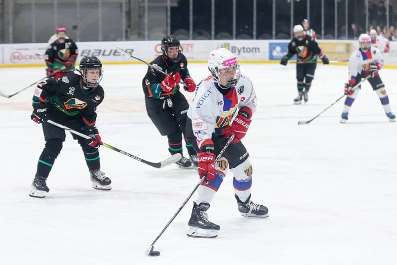 Ice Hockey. Tauron Liga Kobiet. BS Polonia Bytom - Kojotki Naprzod Janow. 16.03.2024