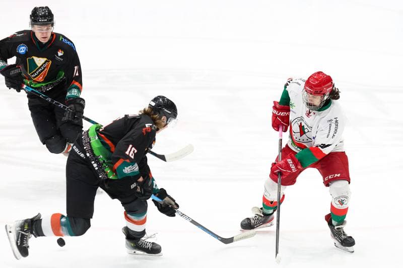 Ice Hockey. MHL. Zaglebie Sosnowiec - Naprzod Janow Katowice. 06.01.2024