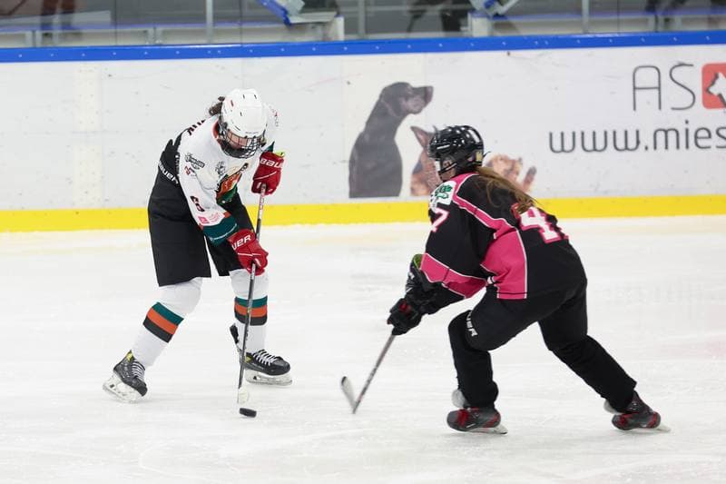 Ice Hockey. Tauron Liga Hokeja Kobiet. Kojotki Naprzod Janow - Kozice Poznan. 20.01.2024