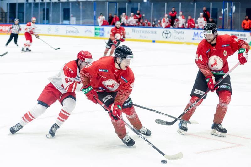 Ice Hockey. Friendly Match. Poland - Hungary. 12.04.2024