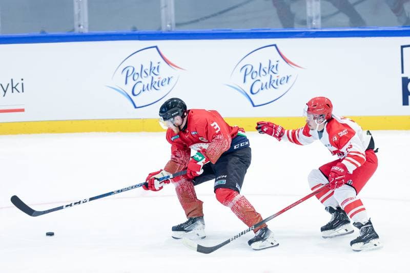 Ice Hockey. Friendly Match. Poland - Hungary. 12.04.2024
