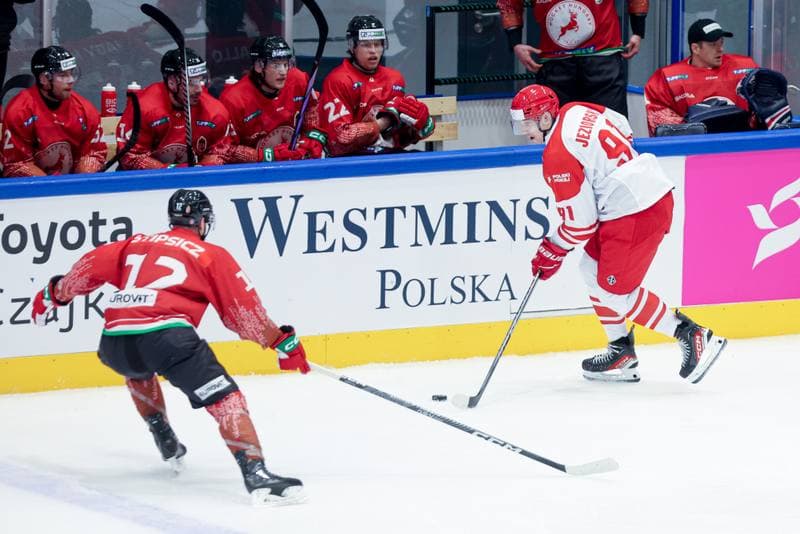 Ice Hockey. Friendly Match. Poland - Hungary. 12.04.2024