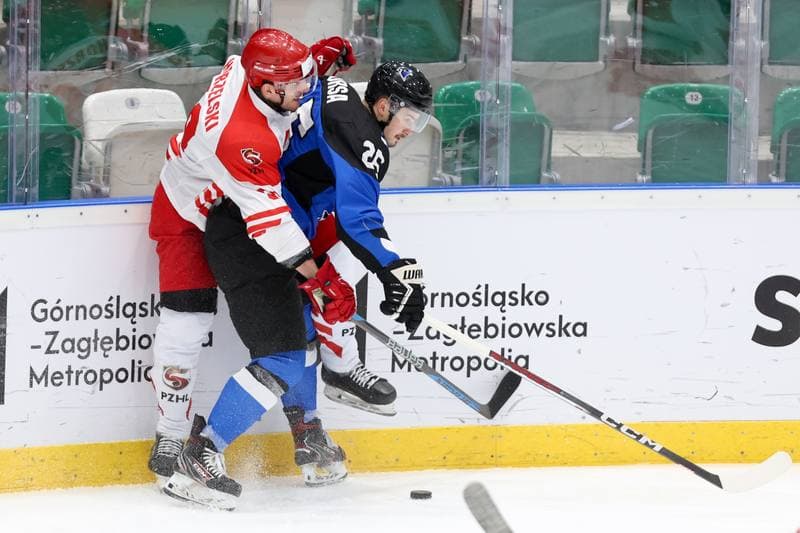 Ice Hockey. Olympic Qualification. Poland - Estonia. 08.02.2024