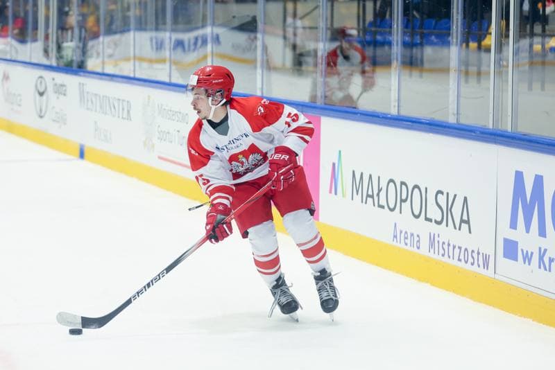 Ice Hockey. Friendly Match. Poland - Hungary. 12.04.2024