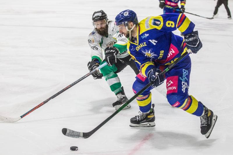 Ice Hockey. Polska Hokej Liga. JKH GKS Jastrzebie - Podhale Nowy Targ. 24.02.2021