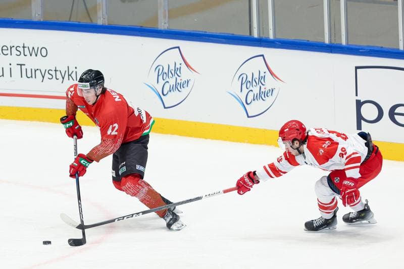 Ice Hockey. Friendly Match. Poland - Hungary. 13.04.2024